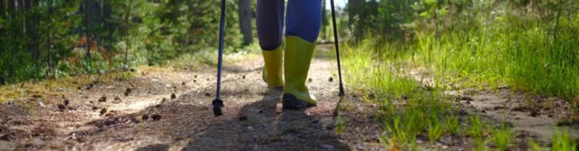 Depositphotos 391687310 stock photo legs and nordic walking poles